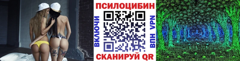 Купить закладки  Навашино  Псилоцибиновые грибы Cubensis 